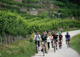 Rent-A-Wachau-Bike